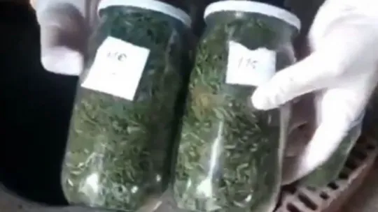 Kavanozlara turşu diye bakın ne doldurdular?