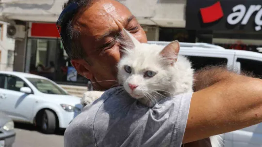 Kayıp kedisine günler sonra kavuştu, bu kez mutluluktan ağladı