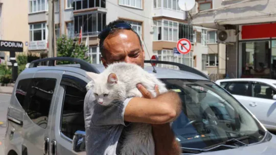 Kayıp kedisine günler sonra kavuştu, bu kez mutluluktan ağladı