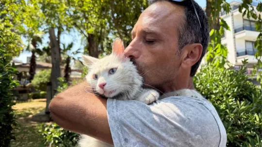 Kayıp kedisine günler sonra kavuştu, bu kez mutluluktan ağladı