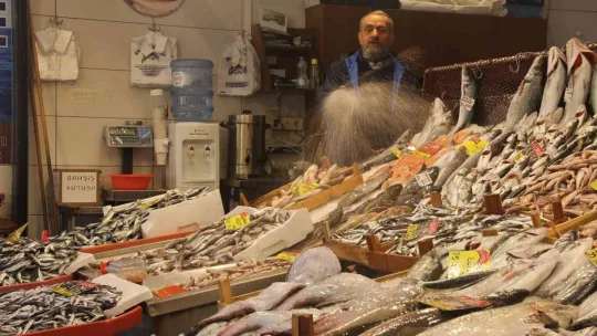 KDV indirimi balık tezgahlarına da yansıdı