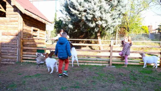 Keçi, ördek, tavuk, tavşan: Hepsinin görevi Çok özel