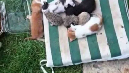 Kocaeli'de yürek ısıtan anlar