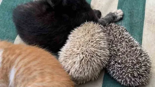 Kocaeli'de yürek ısıtan anlar