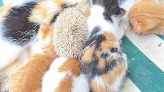 Kocaeli'de yürek ısıtan anlar