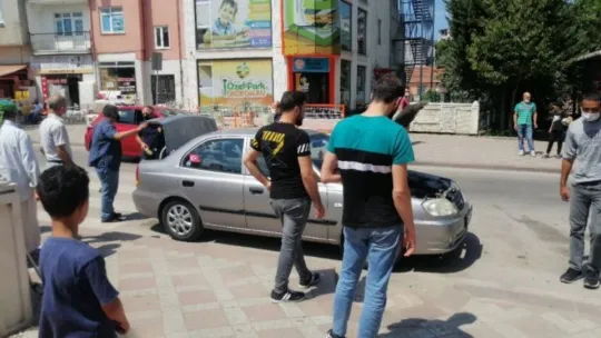 Kediden kaçan yılan ortalığı birbirine kattı!