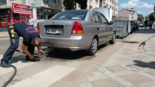 Kediden kaçan yılan ortalığı birbirine kattı!