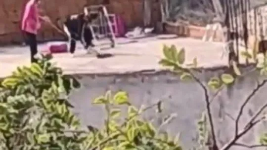 Kediye yapılan işkence 'pes' dedirtti