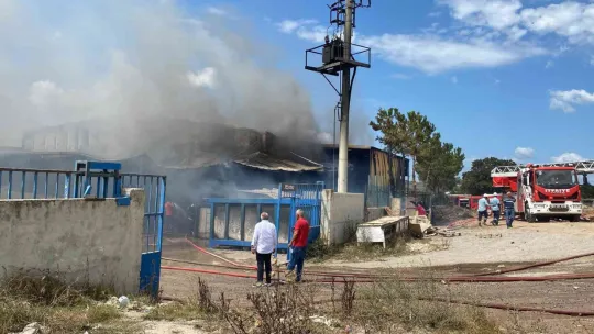 Kesimhaneyi fabrikaya çevirdiler