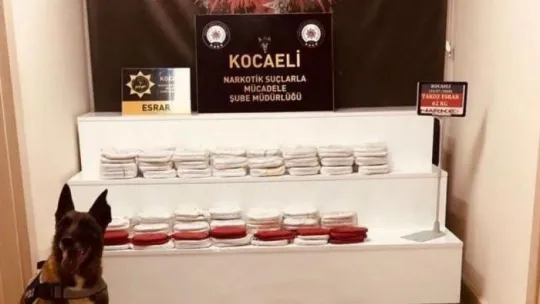 Kilolarca esrarla yakalanan tır sürücüsü adliyeye sevk edildi