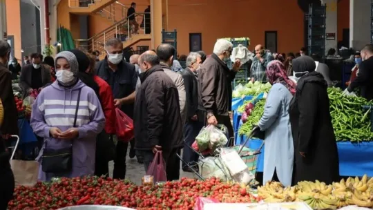 Kilosu 20 TL'den satılan erik vatandaşı memnun etti