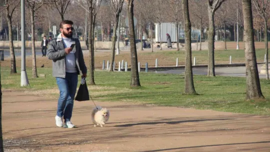 Kış günü 20 derece hava, şaşkına çevirdi
