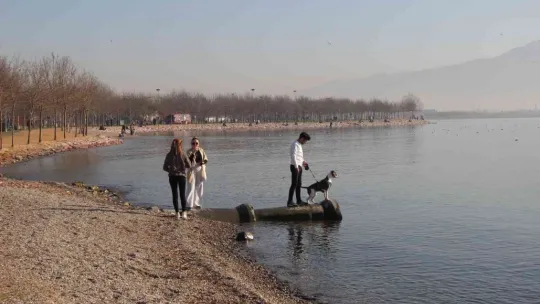 Kış günü 20 derece hava, şaşkına çevirdi