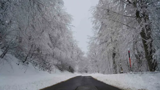 Kış turizminin gözdesi Kartepe'de kar sevinci