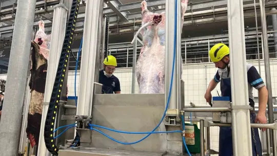 Kist hidatik riskine karşı sakatat uyarısı