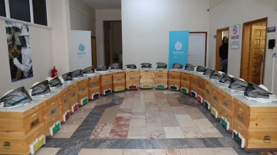 KO-MEK arıcılığın tüm inceliklerini öğretiyor