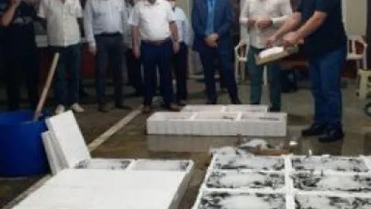 Kocaeli balık halleri bereketli av ile açıldı