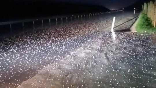 Kocaeli bir günde 4 mevsimi yaşadı