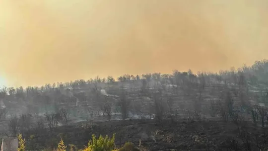 Büyükakın, orman yangınındaki son durumu açıkladı