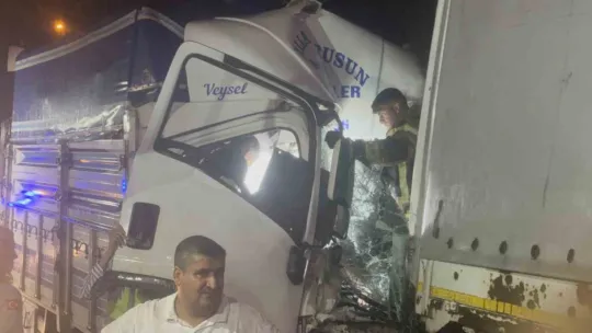 Kocaeli'de 1 kişinin öldüğü zincirleme kazayla ilgili 2 sürücü tutuklandı