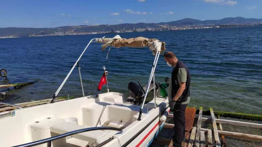 Zararlılardan arındırıldı