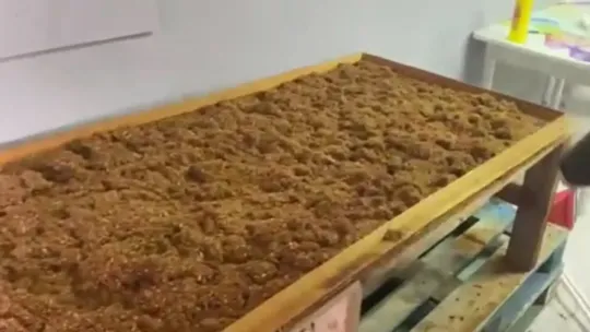 4 adresi sigara üretim fabrikasına çevirdiler