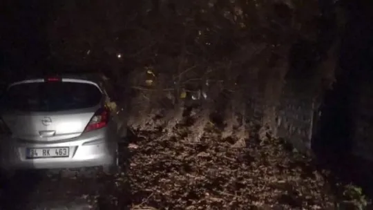 Kocaeli'de ağaç, otomobilin üstüne düştü!