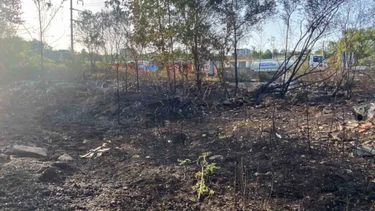 Kocaeli'de ağaçlık alan yandı: 10 hektar küle döndü