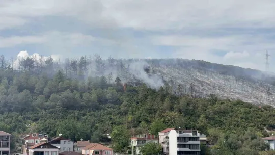 Kocaeli'de ağaçlık alana sıçrayan yangın kontrol altına alındı
