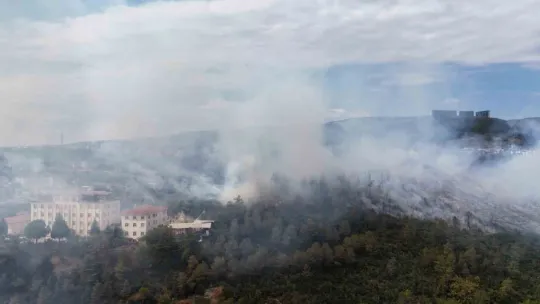 Kocaeli'de ağaçlık alana sıçrayan yangın kontrol altına alındı