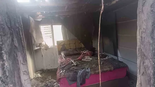 Kocaeli'de ağaçlık alana sıçrayan yangın kontrol altına alındı