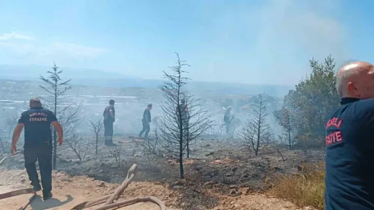 Kocaeli'de çıkan yangında kundaklama iddiası