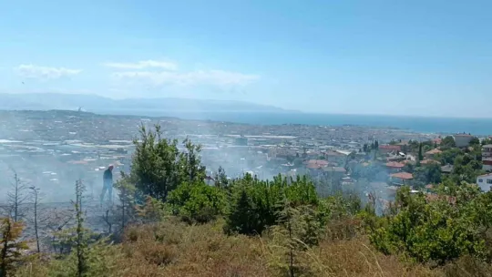 Kocaeli'de çıkan yangında kundaklama iddiası