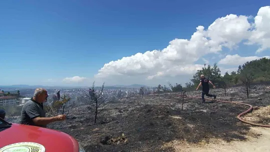 Kocaeli'de çıkan yangında kundaklama iddiası