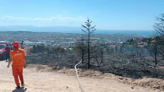 Kocaeli'de çıkan yangında kundaklama iddiası