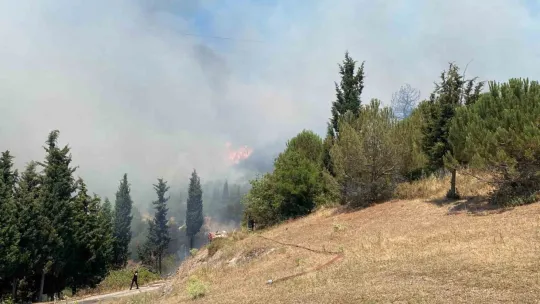 Kocaeli'de ağaçlık alanda yangın!