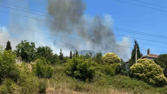 Kocaeli'de ağaçlık alanda yangın!