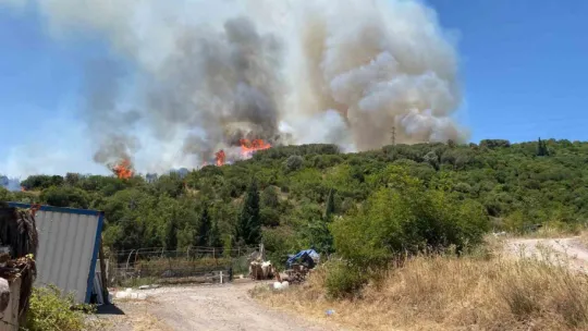 Kocaeli'de ağaçlık alanda yangın!