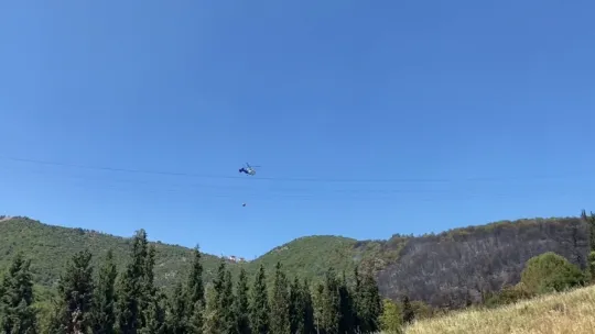 Kocaeli'de ağaçlık alanda çıkan yangın kontrol altına alındı