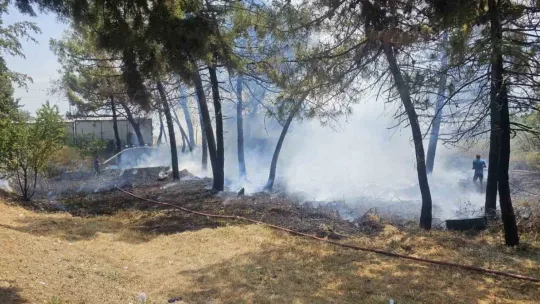 Kocaeli'de ağaçlık alanda korkutan yangın