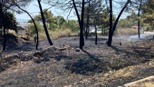 Kocaeli'de ağaçlık alanda korkutan yangın