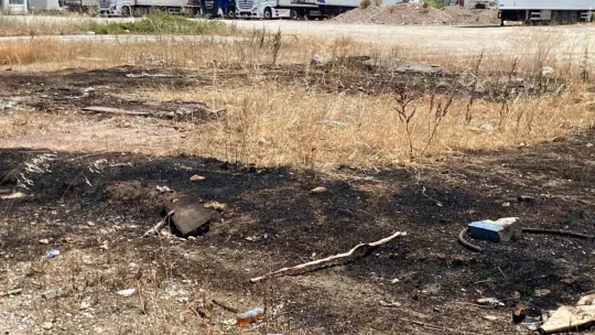 Kocaeli'de ağaçlık alanda korkutan yangın