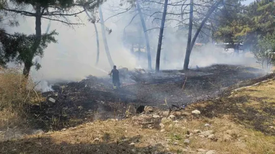 Kocaeli'de ağaçlık alanda korkutan yangın