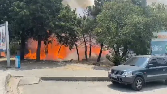Kocaeli'de ağaçlık alanda korkutan yangın