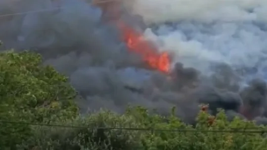 Kocaeli'de ağaçlık alanda yangın çıktı
