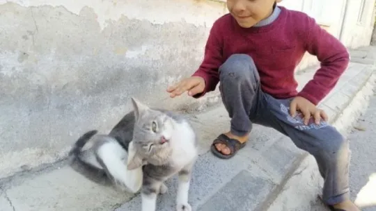 Kocaeli'de arkadaşlarını evde ölü buldular!