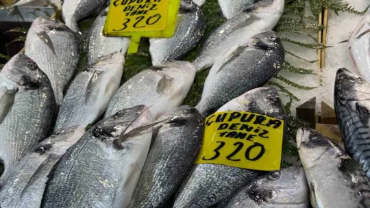 Kocaeli'de balık tezgahlarındaki son durum