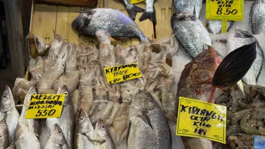 Kocaeli'de balık tezgahlarındaki son durum