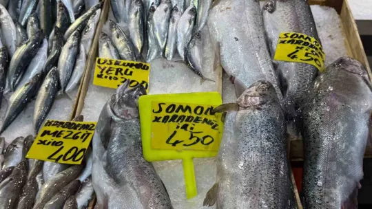 Kocaeli'de balık tezgahlarındaki son durum