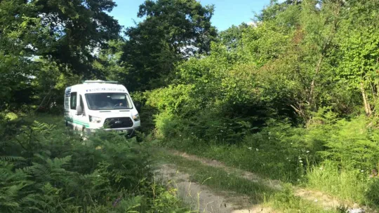 Kocaeli'de bir kişi ormanlık alanda ölü bulundu